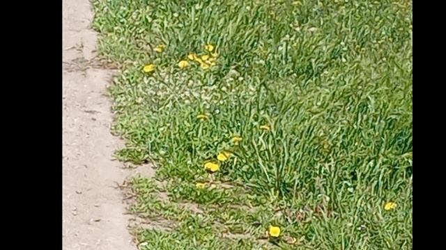 ПОДКАСТ ОБЗОР НА КАНАЛ ЖЕНЩИНА ПО ИМЕНИ РИММА ОТВЕТЫ НА РОЛИКИ СКРИНЫ