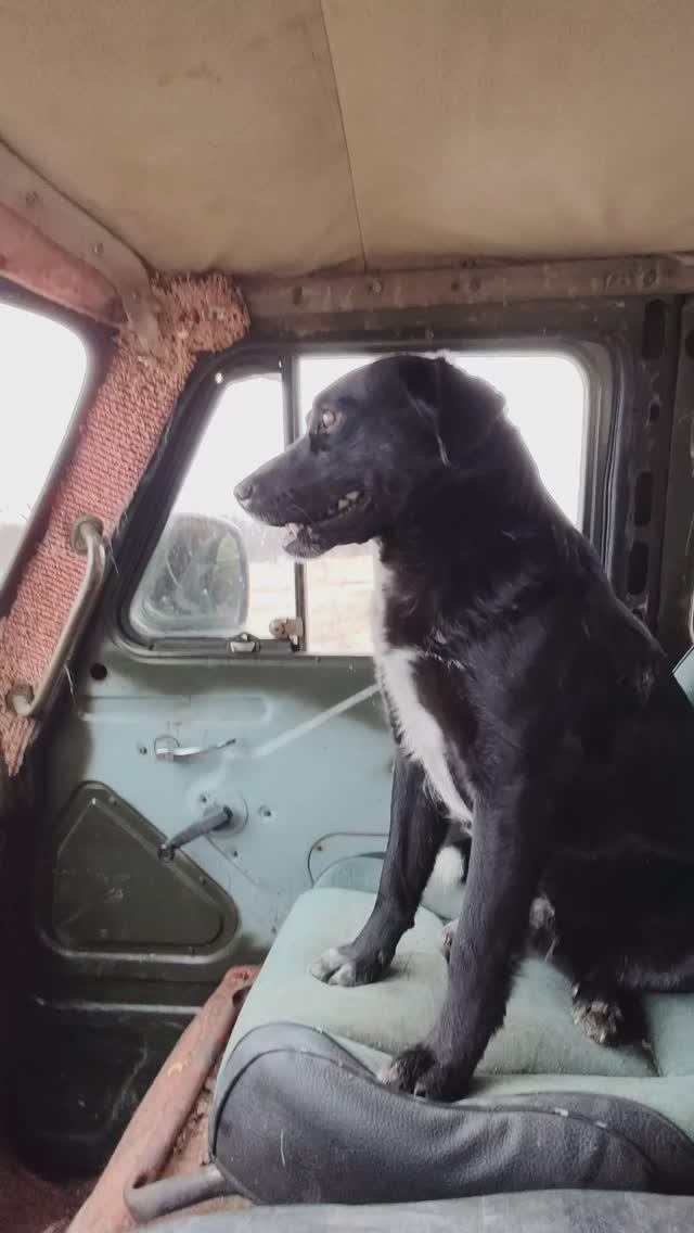 Купил Буханку теперь нет друзей