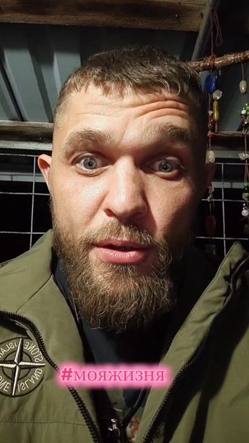 А вы как думаете.