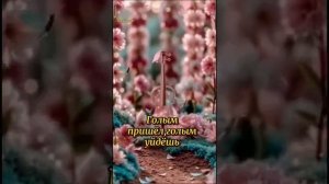 ГОЛЫМ ПРИШЁЛ, ГОЛЫМ УЙДЁШЬ.