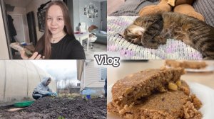 Vlog/ Что посадили в огороде? 🧅 / Распаковка🤭/ Готовка🍳
