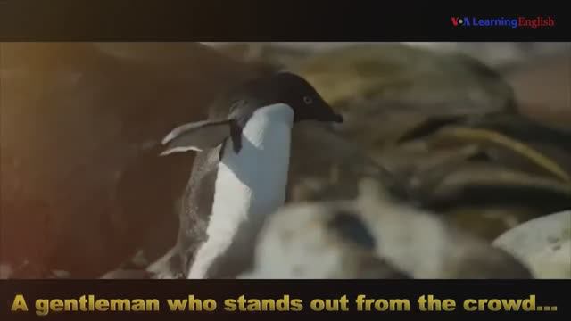 Английские фразы из фильмов: Stand out from the crowd