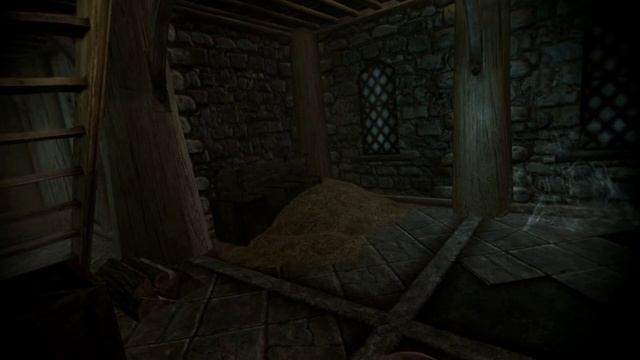 SKYRIM VR