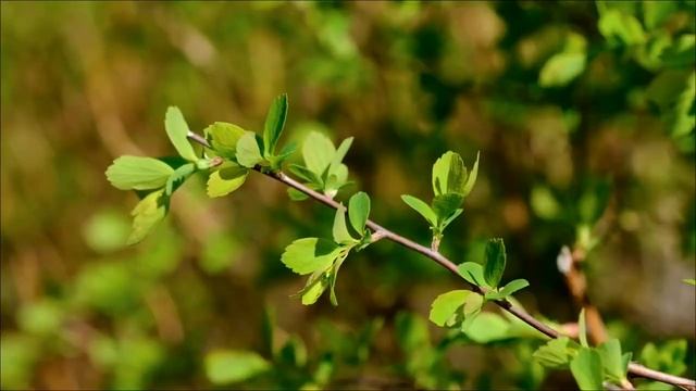 Произнесите эти слова перед сном 22 апреля и беды уйдут.