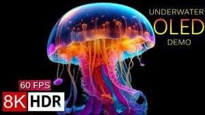 Мир океана в его естественных красках.