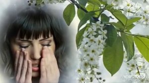 *** " БЕЛАЯ ЧЕРЁМУХА" ***