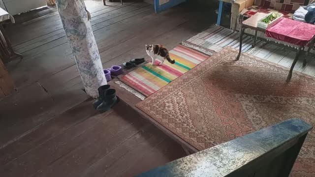 МОЮ САРАЙ / СДЕЛАЛА НОГТИ / ВЫПИСАЛИ / ОЛАДЬИ / УРАЛ