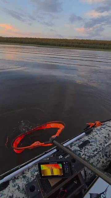 Клип @zatropheem