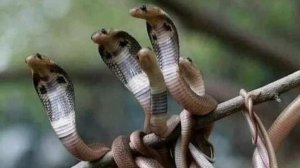 ДРУЖНЫЙ ЖЕНСКИЙ КОЛЕКТИВ