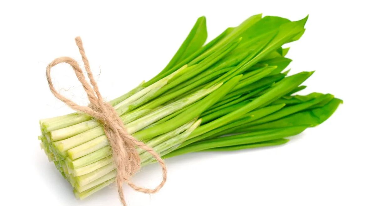 Завтрак с черемшой: рецепты трёх быстрых блюд