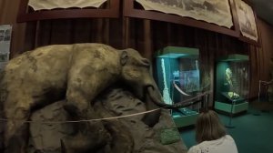 Экскурсия по музею в Дудинке (ч1) / Замерший мамонт / Кости и скелеты динозавров