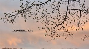 РАДОНИЦА 2026