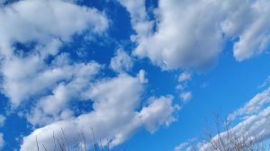 ☀️ Прогулка по природе🪻🌱🌲 🍄🟫