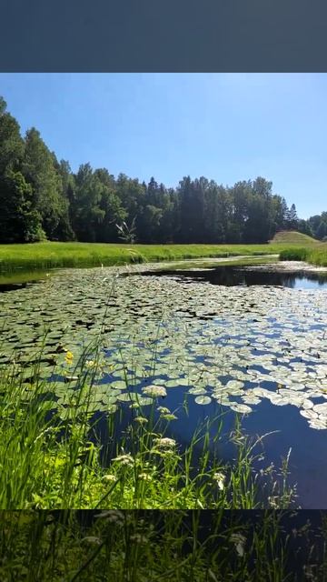 Красота рядом с нами