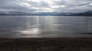 Где то бродит весна