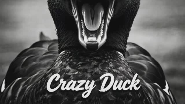 Crazy Duck- супер басовая, новинки музыки 2026