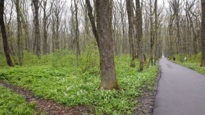 Ставрополь.Лес (Часть 2)