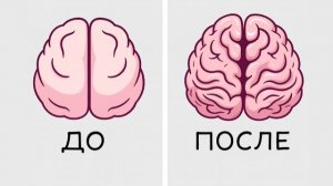 7 простых упражнений для мозга, чтобы развить память и концентрацию