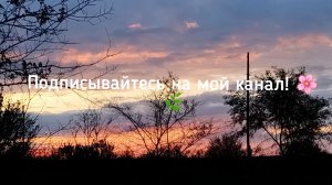 Трава скошена,про одуванчики и  красивый закат