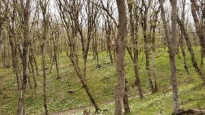 Ставрополь.Прогулка В Лес (Часть 3)