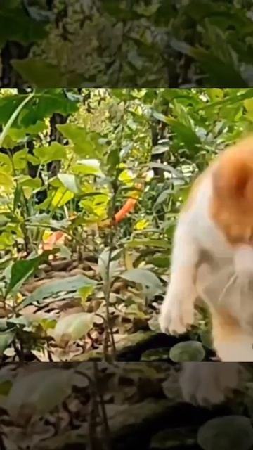 Реакция далее см в описании ☺️☺️🧐