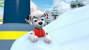 Щенячий патруль | Учимся переработке с Рокки! ♻️ PAW Patrol • 2 часа | Nick Jr. Cyrillic