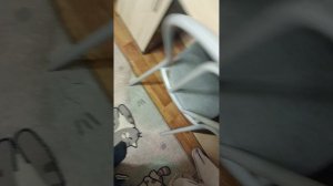 обучающее видео для начинающих подключаем z5r контроллер