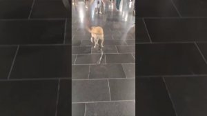 Ты не узнаешь.mp4