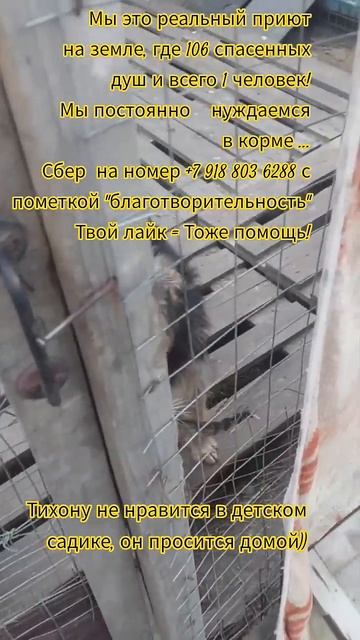 НАС107=106хвостиков  +1человек!