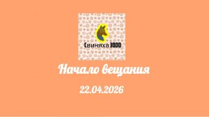 Начало вещания (Свиняха 3000 ТВ, 22.04.2026)