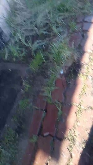 Рыбалка С Даней И Тимой в Опале Озеро ягодное