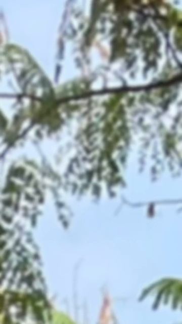 мне все можно #рек #паркГалицкого