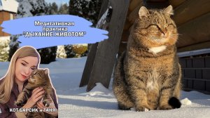 Медитация с Барсиком "Дыхание животом"