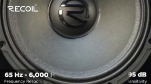 Эстрадные динамики Recoil RMB8-4P