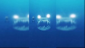 Deep sea dive 🐬 LIGHTS ARE OFF TIKTOK