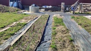 Сделала мини парник. Обклеила тарец окна пеноплексом и другое. Дневник за 22 апреля