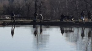 поимка форели на спиннинг