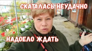 236🏡Неудачно съездила/Не жду погоды/Поминаю своих /Высадила мультифлору