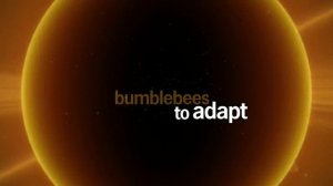 ABBA - Bumblebee (Лирическое видео)