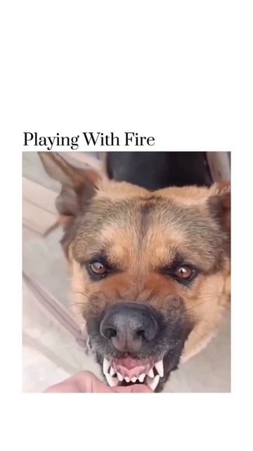 Взяток не берём