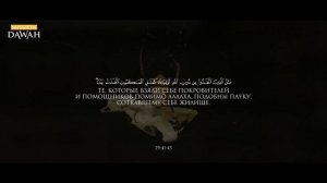 Коран раскрыл тайну паука