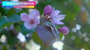 Исцеление от мигрени, ВСД, панических атак. Избавление от головной боли (RELAX version).