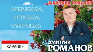 Дмитрий Романов - А калина красная (КАРАОКЕ)