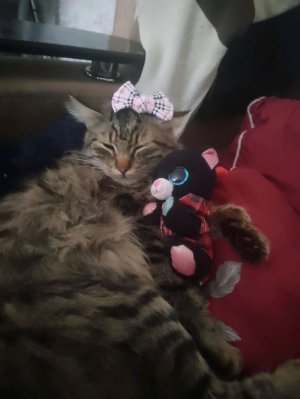 привет rutube что с моим голосом