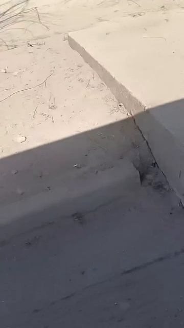 Здравствуйте,выложите пожалуйста.