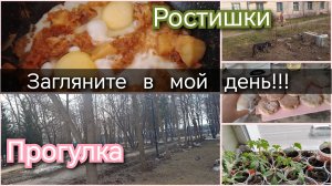Загляните в мой день//ростишки//прогулка