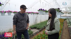 Рубрика «Чичеклер». Выпуск от 22.04.2026