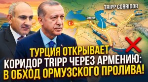 МЕГА ПРОЕКТ:Турция и Армения открывают TRIPP в обход Ормузского пролива!