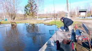 Фореливая рыбалка на 1-м Вип водоёме РК "Фишка Петряиха"
