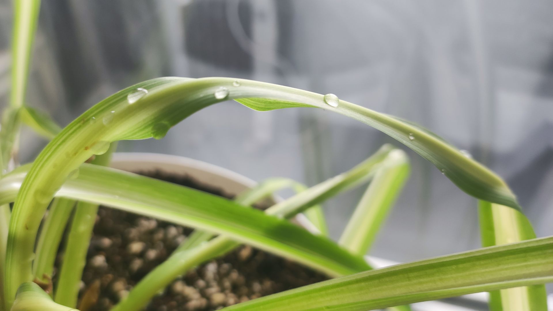 Понедельник -день тяжелый. Мотивация на уборку в квартире.